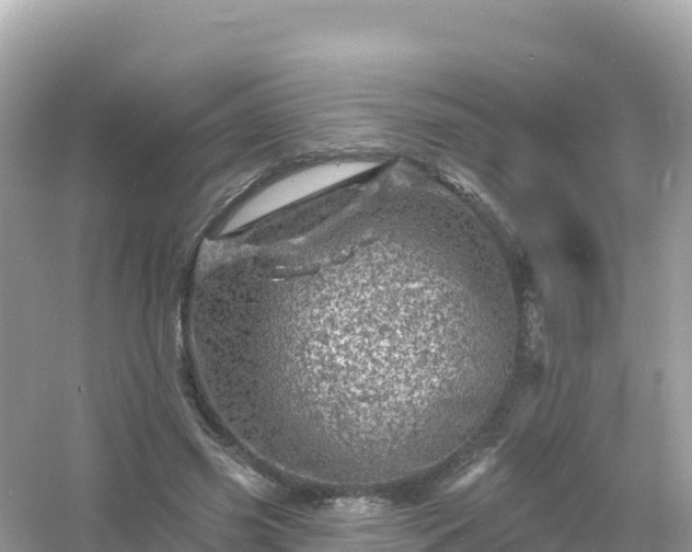 X0000054460541200508051953