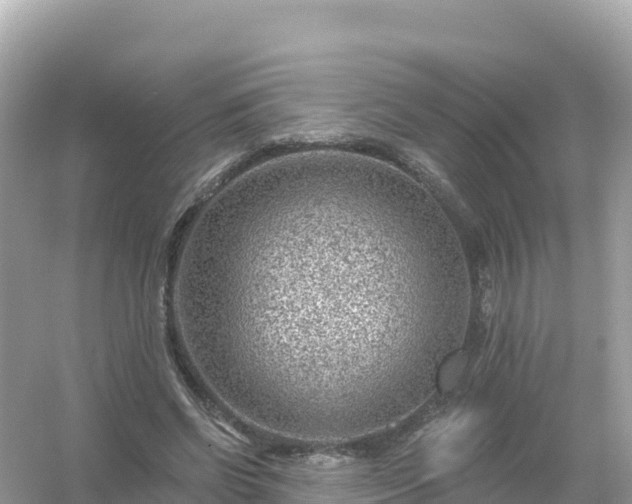 X0000054460542200508051953