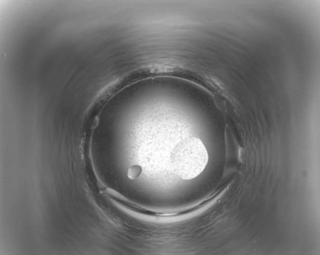 X0000054460543200508051953