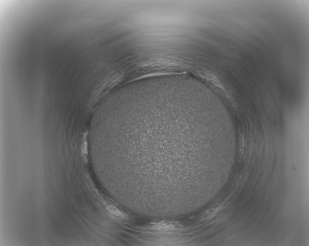 X0000054460545200508051953