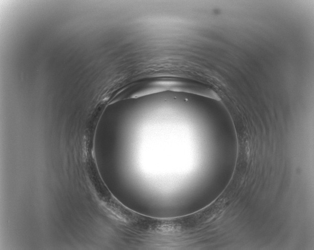 X0000054460546200508051953