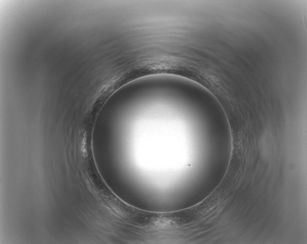 X0000054460547200508051953