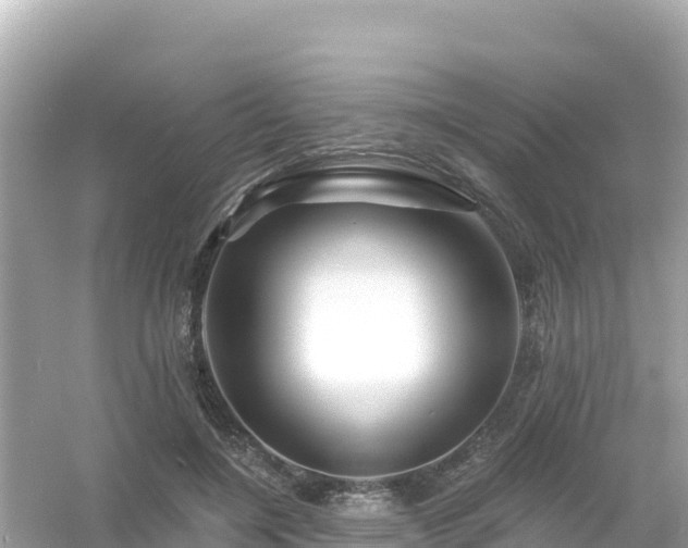 X0000054460548200508051953