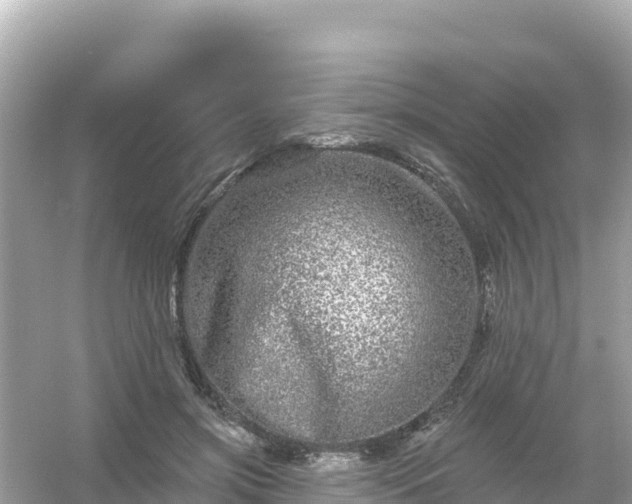 X0000054460549200508051953