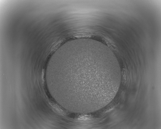 X0000054460550200508051953