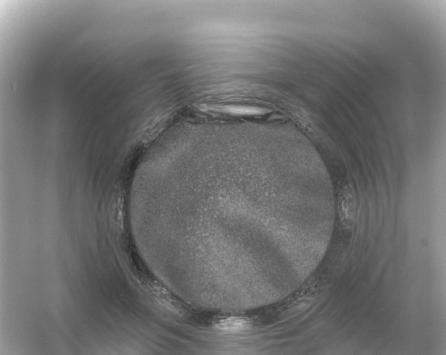 X0000054460551200508051953