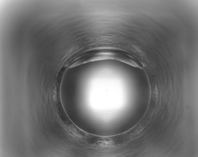 X0000054460552200508051953