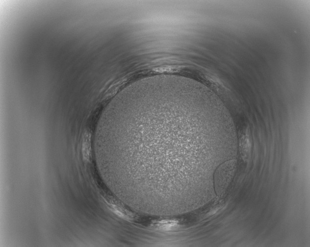 X0000054460554200508051953