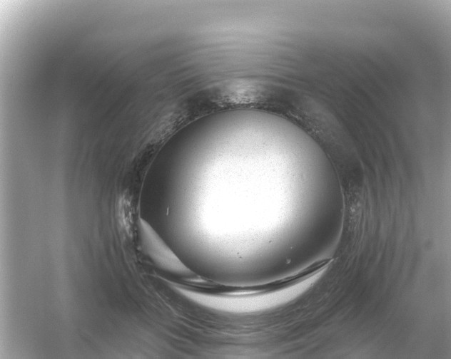 X0000054460555200508051953