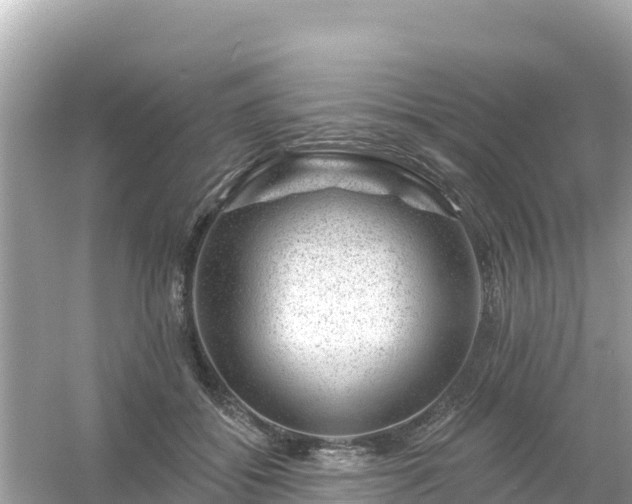 X0000054460556200508051953