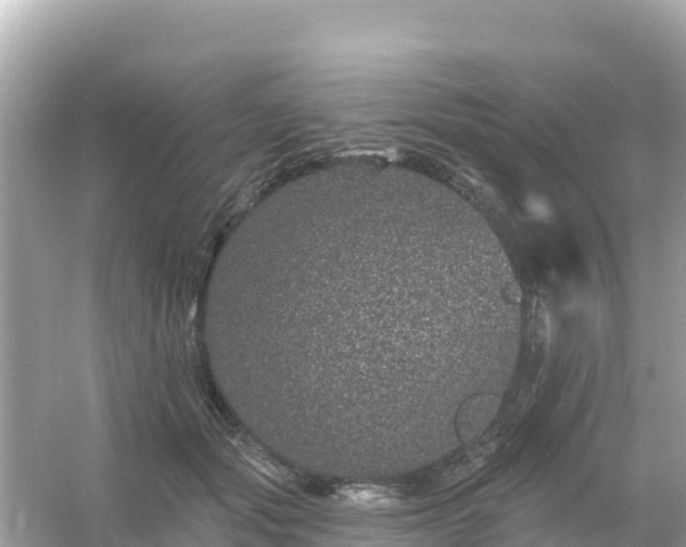 X0000054460557200508051954