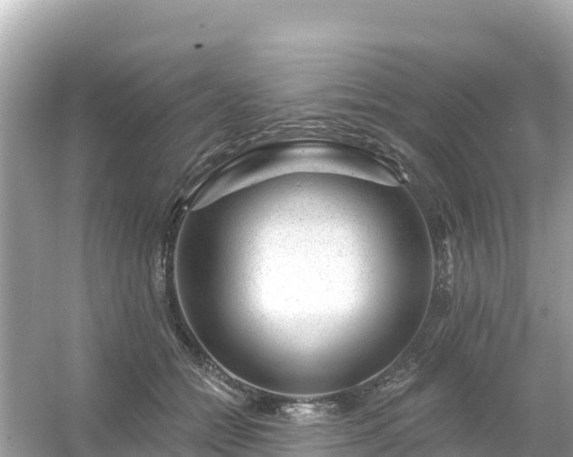 X0000054460558200508051954