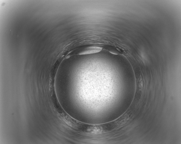 X0000054460559200508051954