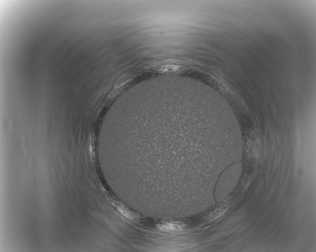 X0000054460561200508051954