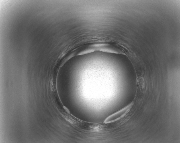 X0000054460564200508051954