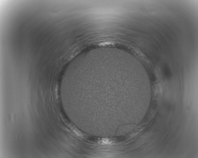 X0000054460565200508051954