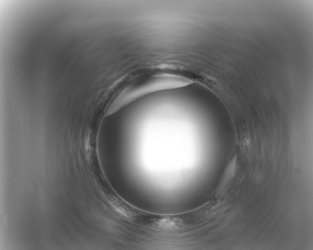 X0000054460566200508051954