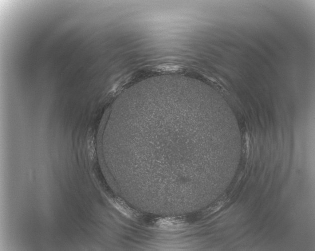 X0000054460568200508051954