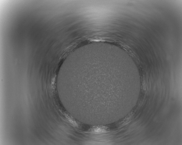 X0000054460569200508051954