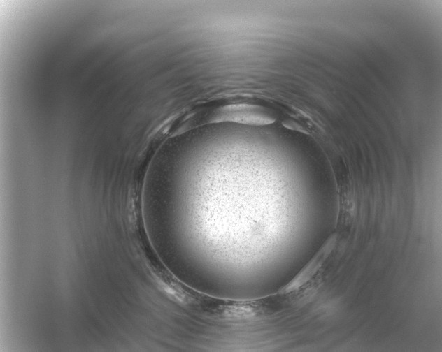 X0000054460572200508051954