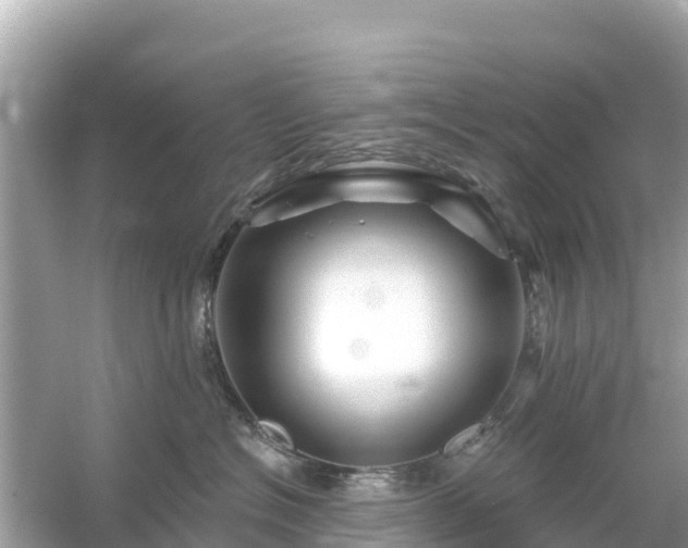 X0000054460574200508051954