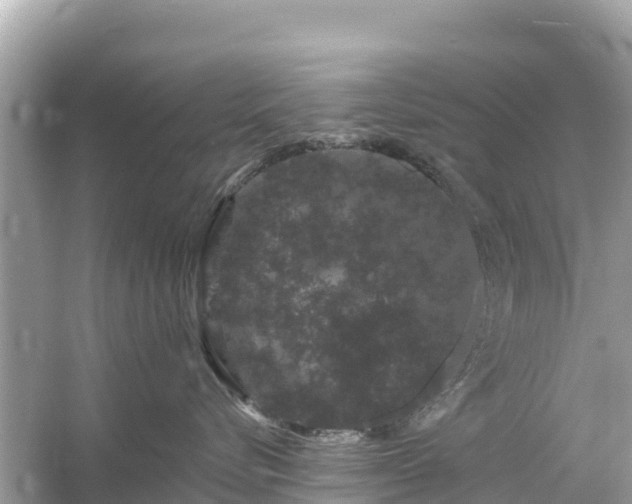 X0000054460576200508051954