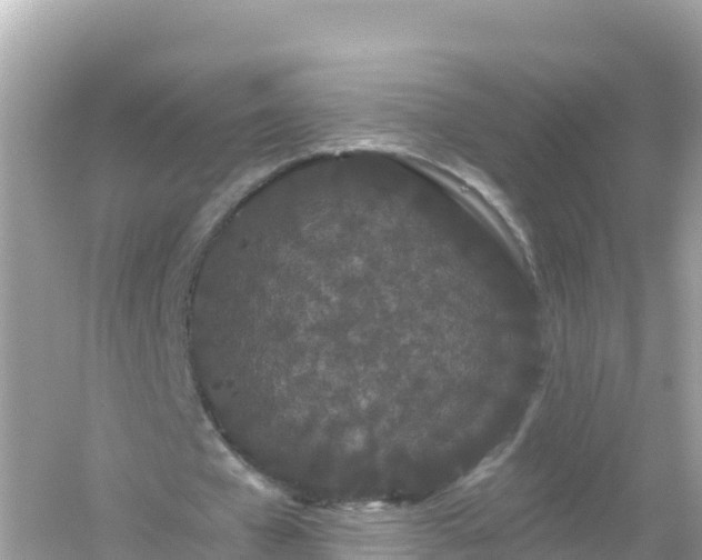 X0000054460577200508051953