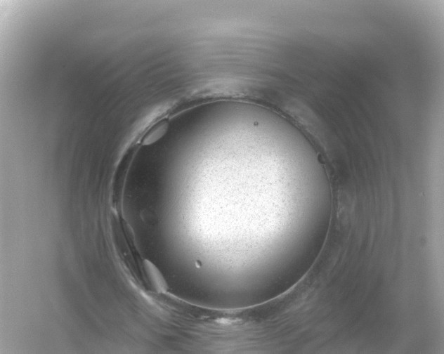 X0000054460578200508051953