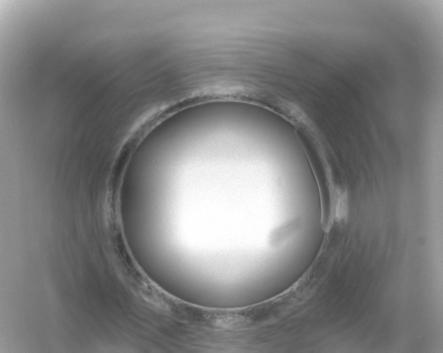 X0000054460579200508051953