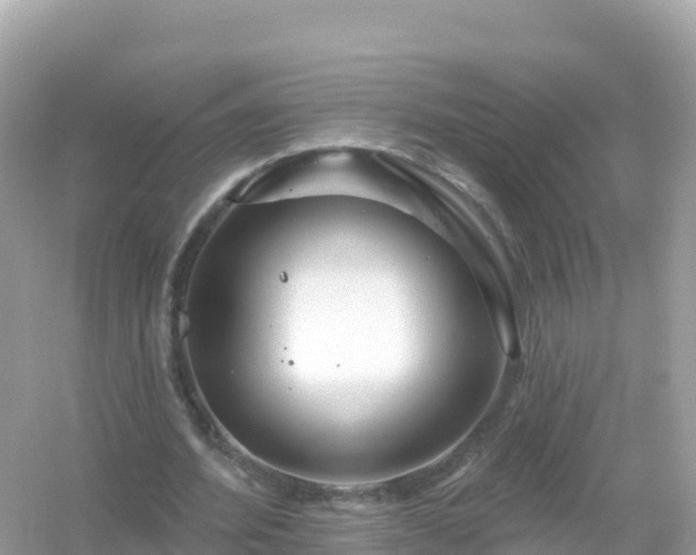 X0000054460580200508051953