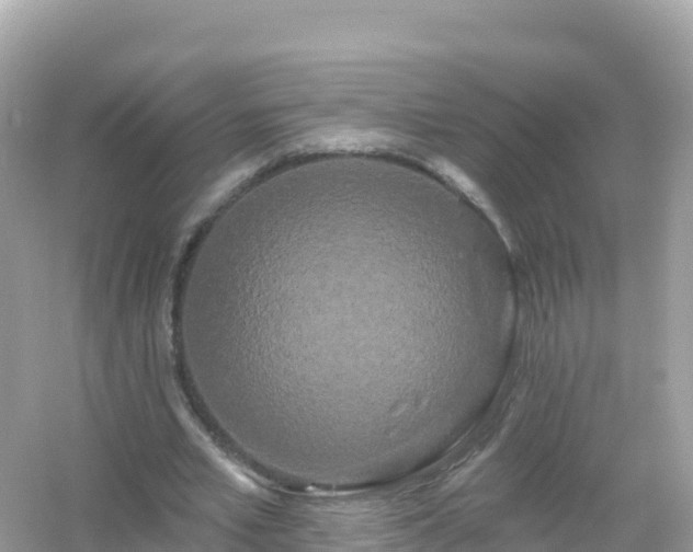 X0000054460581200508051953