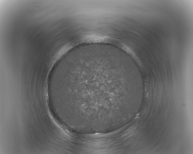 X0000054460582200508051953