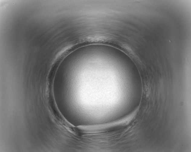 X0000054460583200508051953