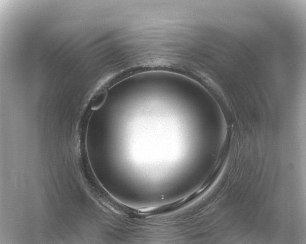 X0000054460584200508051953