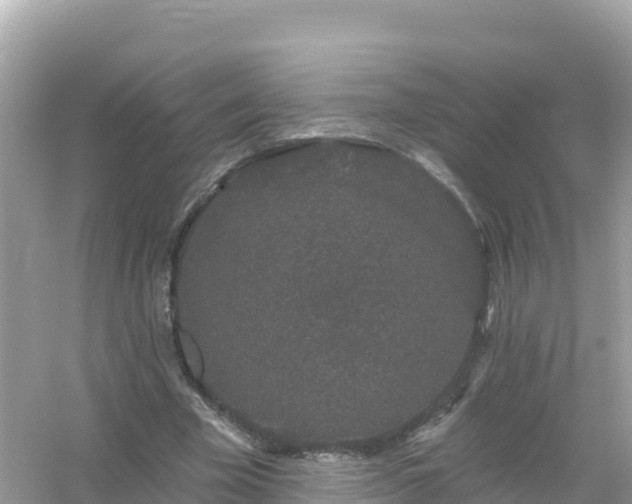 X0000054460585200508051953