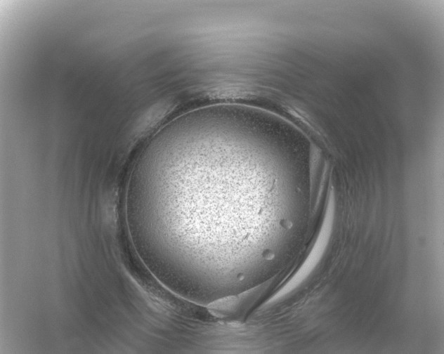 X0000054460586200508051953