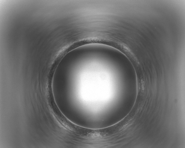 X0000054460588200508051953