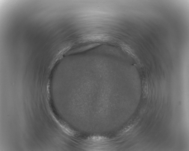 X0000054460590200508051953