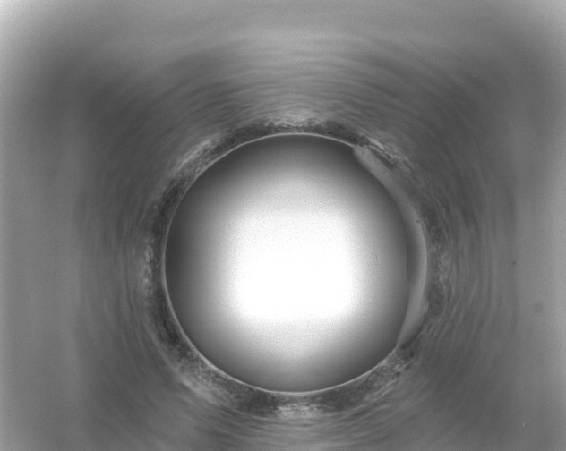 X0000054460591200508051953