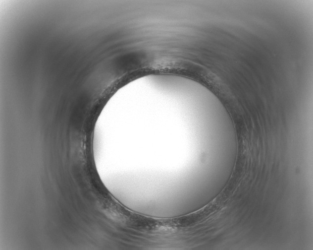 X0000054460592200508051953