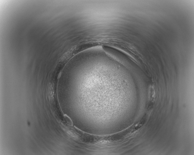 X0000054460593200508051953