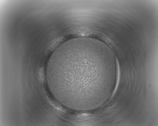 X0000054460594200508051953