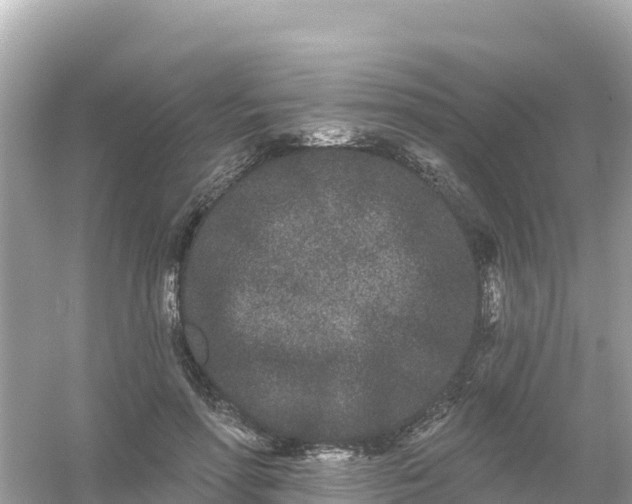 X0000054460598200508051953