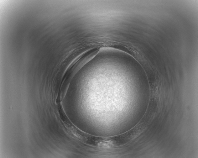 X0000054460599200508051953