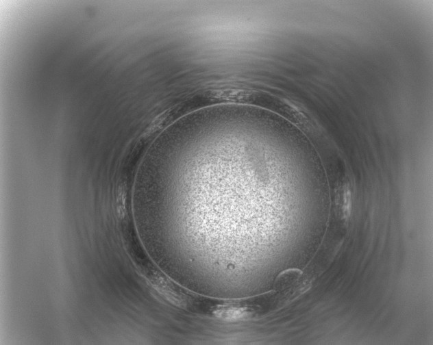 X0000054460602200508051953