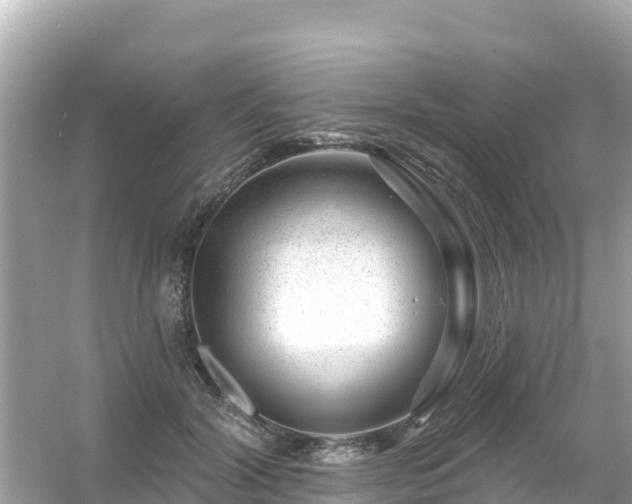 X0000054460604200508051953