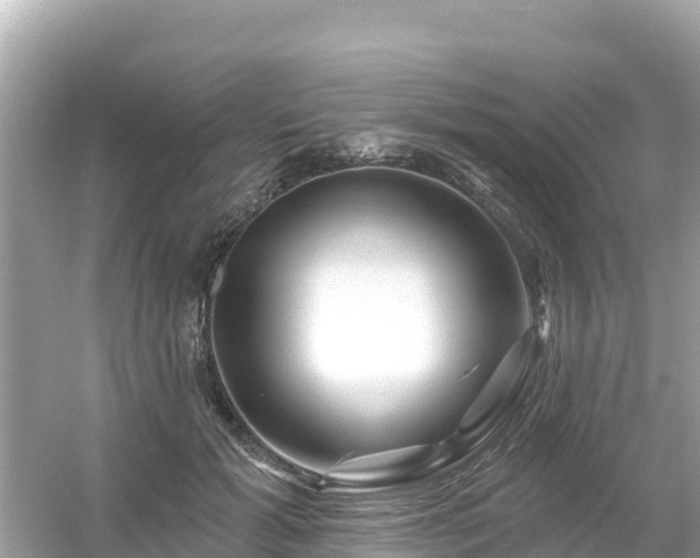 X0000054460605200508051953