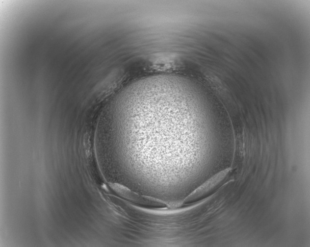 X0000054460606200508051953