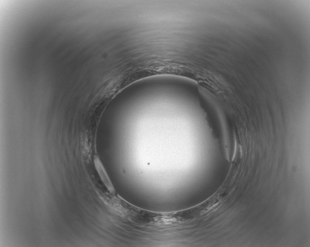 X0000054460607200508051953