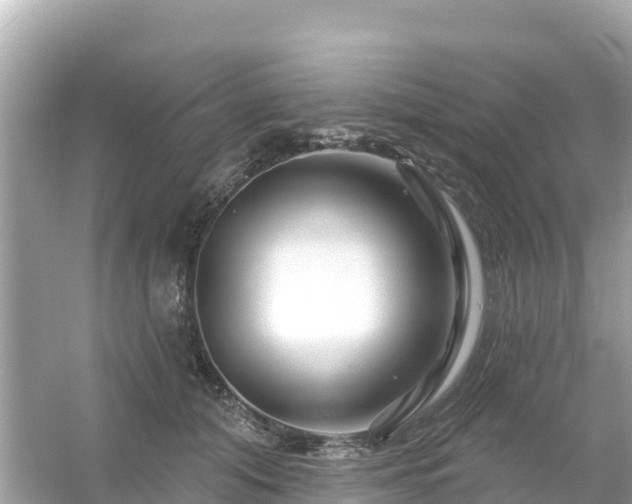 X0000054460608200508051952